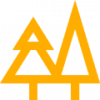 Environment / Afforestation