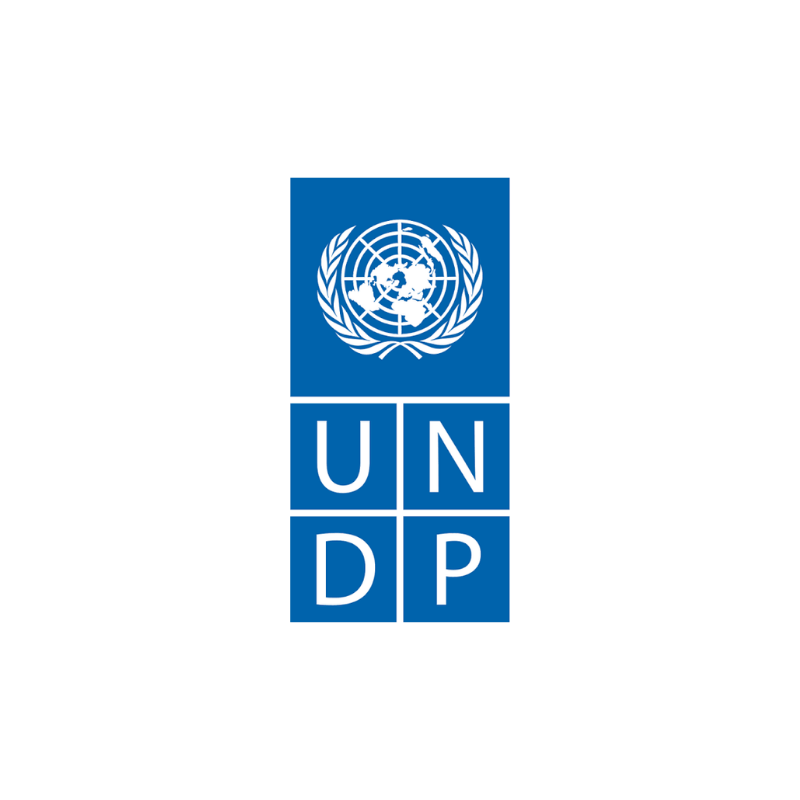 UNDP